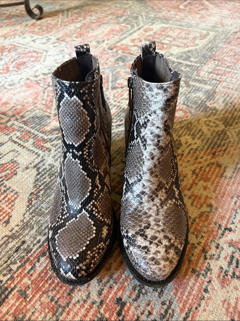 Blondo Snake-Print Ankle Boots in Black and Gray
